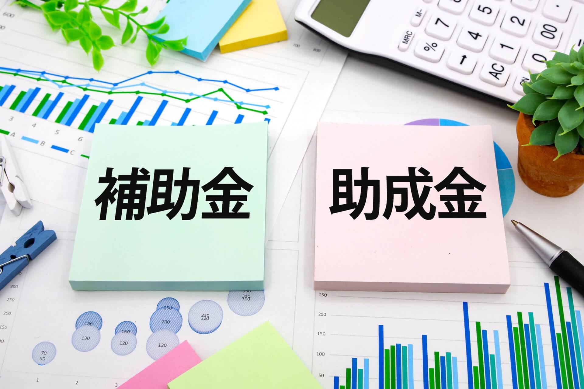 補助金と助成金の比較グラフ